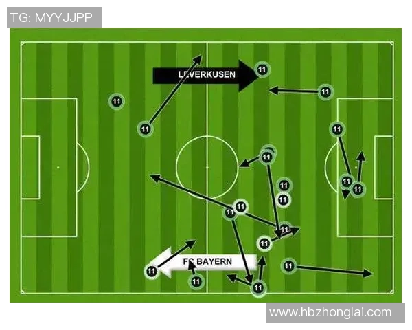 杭州羽毛球队在冠军赛中的力量展现与战术分析 杭州羽毛球队在冠军赛中的力量展现与战术分析