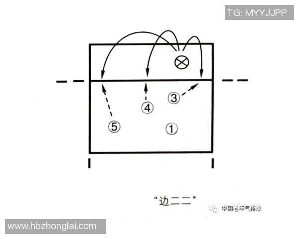 南京排球队战术解析与实战应用探讨提升竞技水平的关键因素